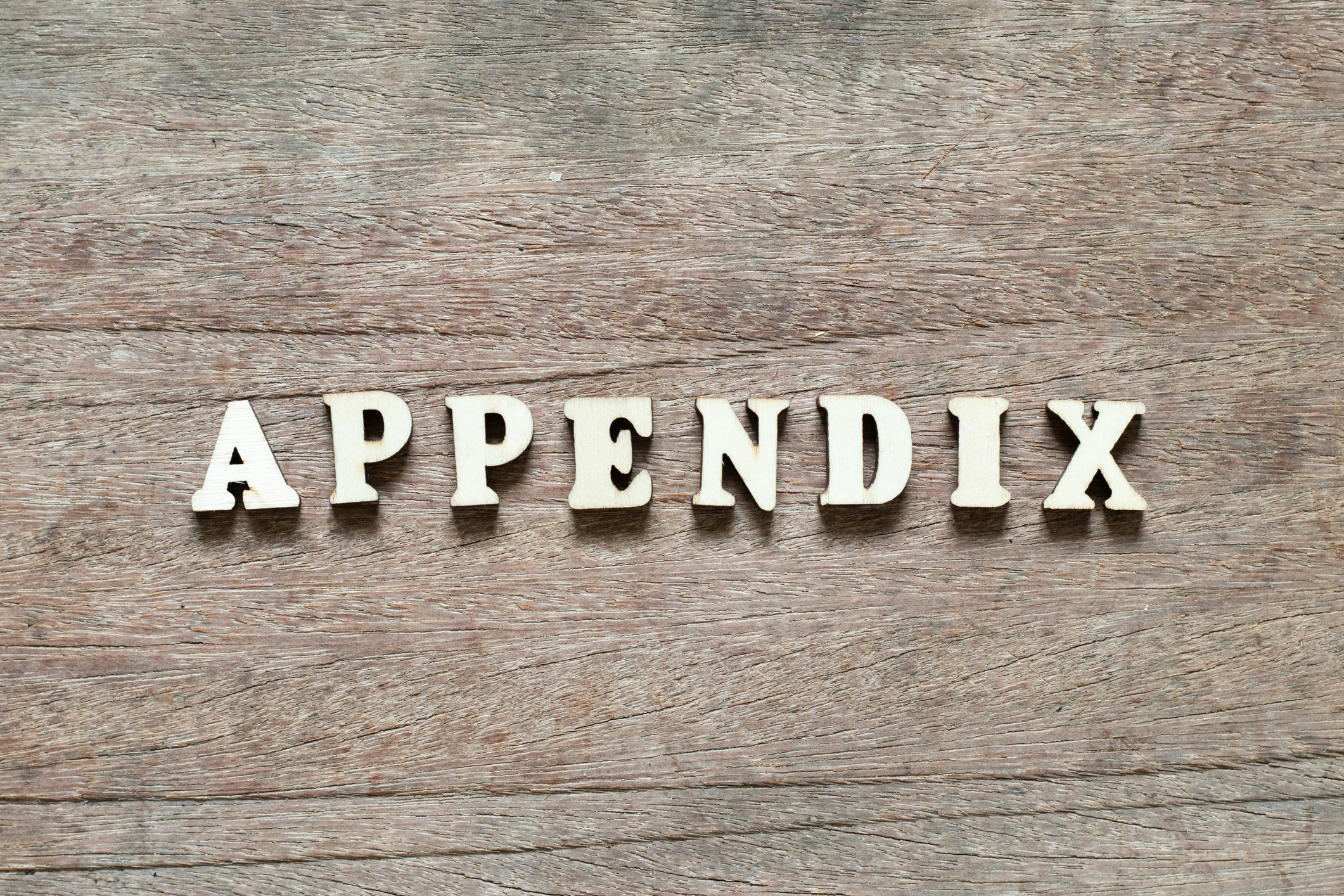 Appendix